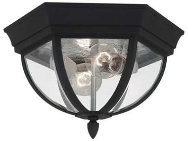 Sea Gull Lighting Bakersville Black 2 Glass LED Outdoor Ceiling Light SGL7813612