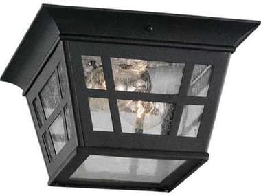 Sea Gull Lighting Herrington Black 2 Glass Outdoor Ceiling Light SGL7813112