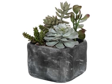 Uttermost Alverio Charcoal Gray Desert Garden Succulents UT60173