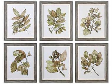 Uttermost Grace Feyock Seedlings Framed Prints (Set of Six) UT33643