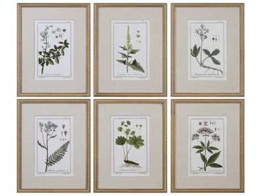 Uttermost Grace Feyock Green Floral Botanical Study Prints (Set of Six) UT33651