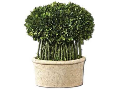 Uttermost Willow Topiary Preserved Boxwood UT60108