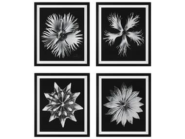 Uttermost Contemporary Floret Framed Prints (Set of 4) UT41427