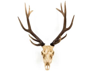 Zentique Off-White / Dark Brown Ombre Deer Skull 3D Wall Art ZENSHI017