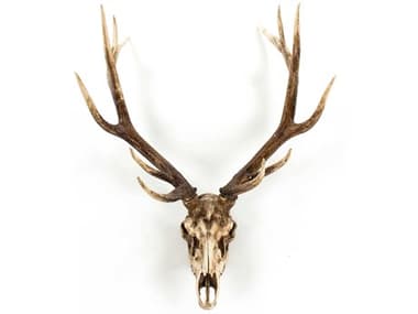 Zentique Weathered / Distressed Brown Deer Skull 3D Wall Art ZENSHI018