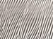 Glass Type: Clear Linear