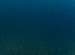 Finish: Blue Iridescent 01