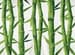 Welt: Bamboo Cream 465C