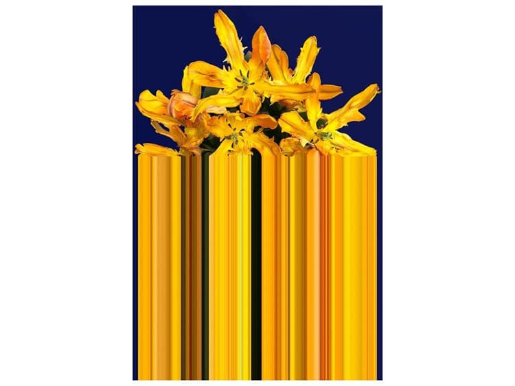 {{productInfo.Description + ' ' + productInfo.ItemCode}}