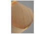 {{productInfo.Description + ' ' + productInfo.ItemCode}}