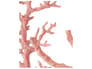 {{productInfo.Description + ' ' + productInfo.ItemCode}}