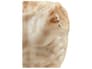 {{productInfo.Description + ' ' + productInfo.ItemCode}}
