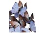 {{productInfo.Description + ' ' + productInfo.ItemCode}}