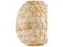 {{productInfo.Description + ' ' + productInfo.ItemCode}}