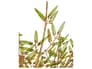 {{productInfo.Description + ' ' + productInfo.ItemCode}}
