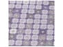 {{productInfo.Description + ' ' + productInfo.ItemCode}}