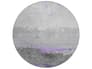 {{productInfo.Description + ' ' + productInfo.ItemCode}}