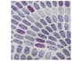 {{productInfo.Description + ' ' + productInfo.ItemCode}}