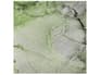 {{productInfo.Description + ' ' + productInfo.ItemCode}}