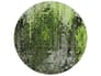 {{productInfo.Description + ' ' + productInfo.ItemCode}}