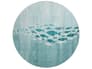 {{productInfo.Description + ' ' + productInfo.ItemCode}}