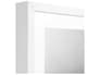 {{productInfo.Description + ' ' + productInfo.ItemCode}}