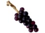 {{productInfo.Description + ' ' + productInfo.ItemCode}}