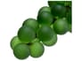 {{productInfo.Description + ' ' + productInfo.ItemCode}}