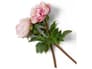 {{productInfo.Description + ' ' + productInfo.ItemCode}}