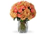 {{productInfo.Description + ' ' + productInfo.ItemCode}}