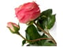 {{productInfo.Description + ' ' + productInfo.ItemCode}}
