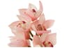 {{productInfo.Description + ' ' + productInfo.ItemCode}}
