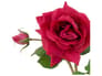 {{productInfo.Description + ' ' + productInfo.ItemCode}}
