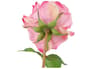 {{productInfo.Description + ' ' + productInfo.ItemCode}}