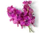 {{productInfo.Description + ' ' + productInfo.ItemCode}}