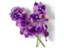 {{productInfo.Description + ' ' + productInfo.ItemCode}}