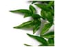 {{productInfo.Description + ' ' + productInfo.ItemCode}}