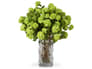 {{productInfo.Description + ' ' + productInfo.ItemCode}}
