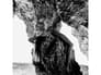 {{productInfo.Description + ' ' + productInfo.ItemCode}}