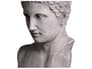 {{productInfo.Description + ' ' + productInfo.ItemCode}}