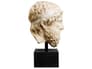 {{productInfo.Description + ' ' + productInfo.ItemCode}}