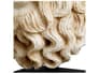 {{productInfo.Description + ' ' + productInfo.ItemCode}}