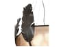 {{productInfo.Description + ' ' + productInfo.ItemCode}}
