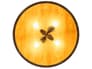 {{productInfo.Description + ' ' + productInfo.ItemCode}}