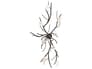 {{productInfo.Description + ' ' + productInfo.ItemCode}}