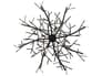 {{productInfo.Description + ' ' + productInfo.ItemCode}}