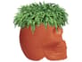 {{productInfo.Description + ' ' + productInfo.ItemCode}}