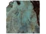 {{productInfo.Description + ' ' + productInfo.ItemCode}}