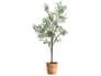 {{productInfo.Description + ' ' + productInfo.ItemCode}}