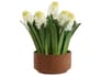{{productInfo.Description + ' ' + productInfo.ItemCode}}